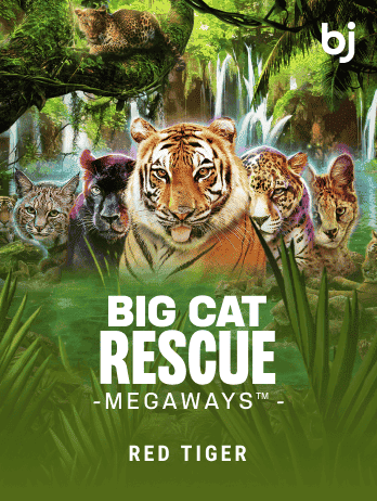 Big Cat Rescue Megaways™ game cover